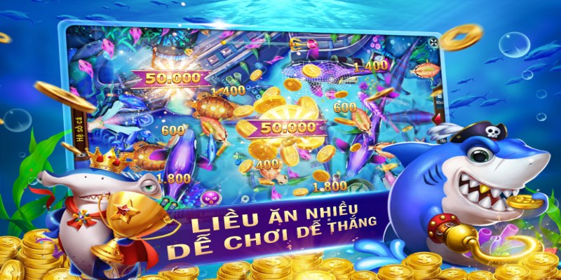 Việc tập trung hỏa lực vào đàn cá sẽ gia tăng tỷ lệ trúng nhiều hơn